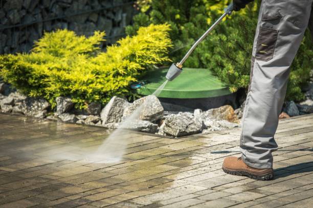 Best Dumpster Area Cleaning  in Shady Shores, TX