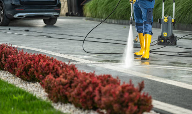 Professional Pressure Washing in Shady Shores, TX