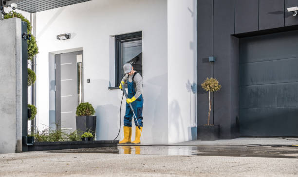 Best Driveway Pressure Washing  in Shady Shores, TX